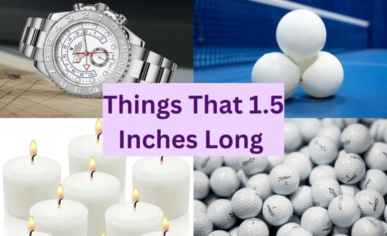10 Common Things that are 2.5 Inches long