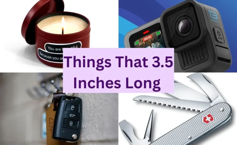 10 Common Things that are 3.5 Inches Long