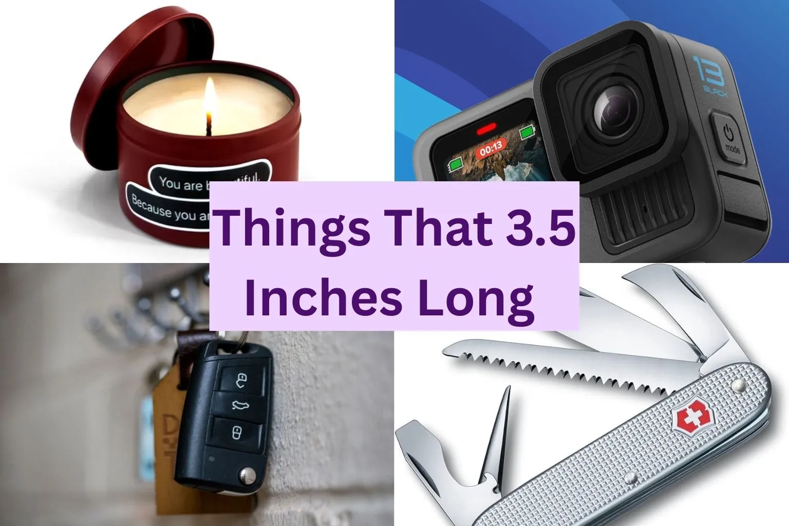 10 Common Things that are 3.5 Inches Long