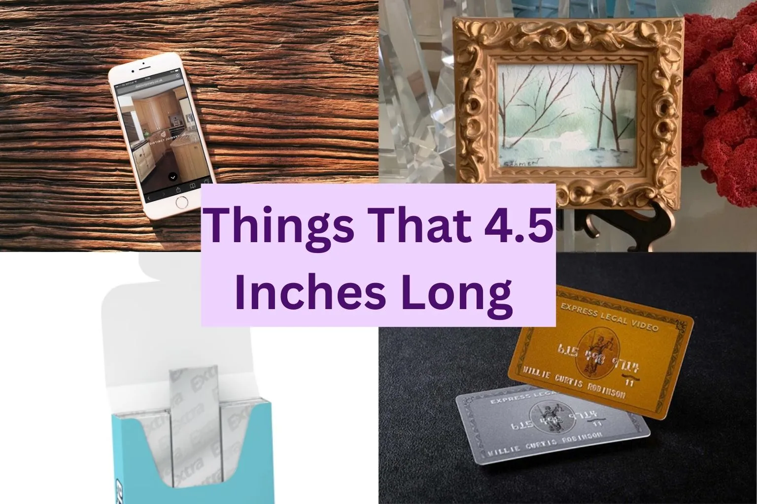10 Common Things that are 4.5 Inches long