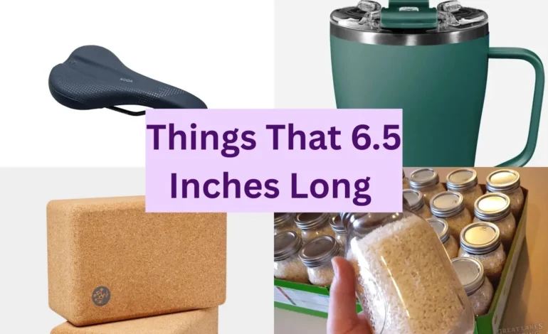10 Common Things that are 6.5 Inches Long